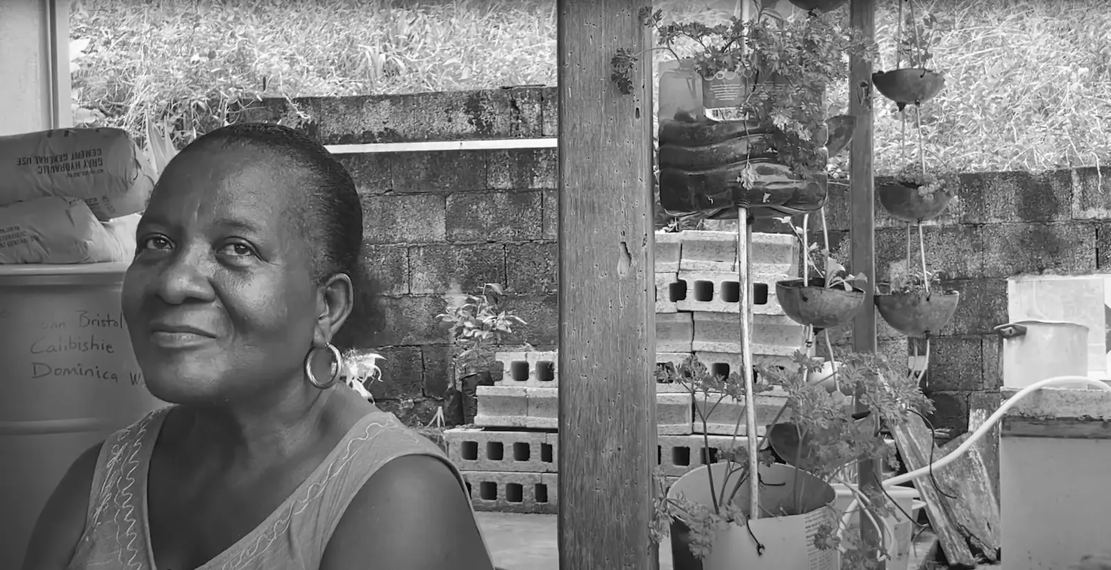 Still from: Surviving Storms the CCC project, “Judith Peters | Dominica Women Farmer’s Oral History Project | Calibishie,” YouTube, July 2022, https://youtu.be/wthObbgghKE